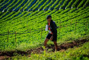 BIB: 
                            <button type="button" onclick="openModal(19160470)" class="btn btn-primary btn-sm float-right btn-popup" data-toggle="modal" data-target=".modal-high-quality">
                        <i class="fas fa-shopping-cart"></i> Add to Cart
                    </button>
                                            <button type="button" onclick="isThisMe(19160470, true)" class="btn btn-success btn-sm float-right btn-popup btn-isme hidden" data-toggle="tooltip" data-placement="bottom" title="นี่คือรูปของคุณใช่ไหม คลิกที่นี่เพื่อเอาเข้าอัลบั้ม">
                        <i class="fas fa-plus"></i> Add to album
                    </button>
                    <button type="button" onclick="isThisMe(19160470, false)" class="btn btn-warning btn-sm float-right btn-popup btn-isnotme hidden">
                        <i class="fas fa-ban"></i> Remove from album
                    </button>